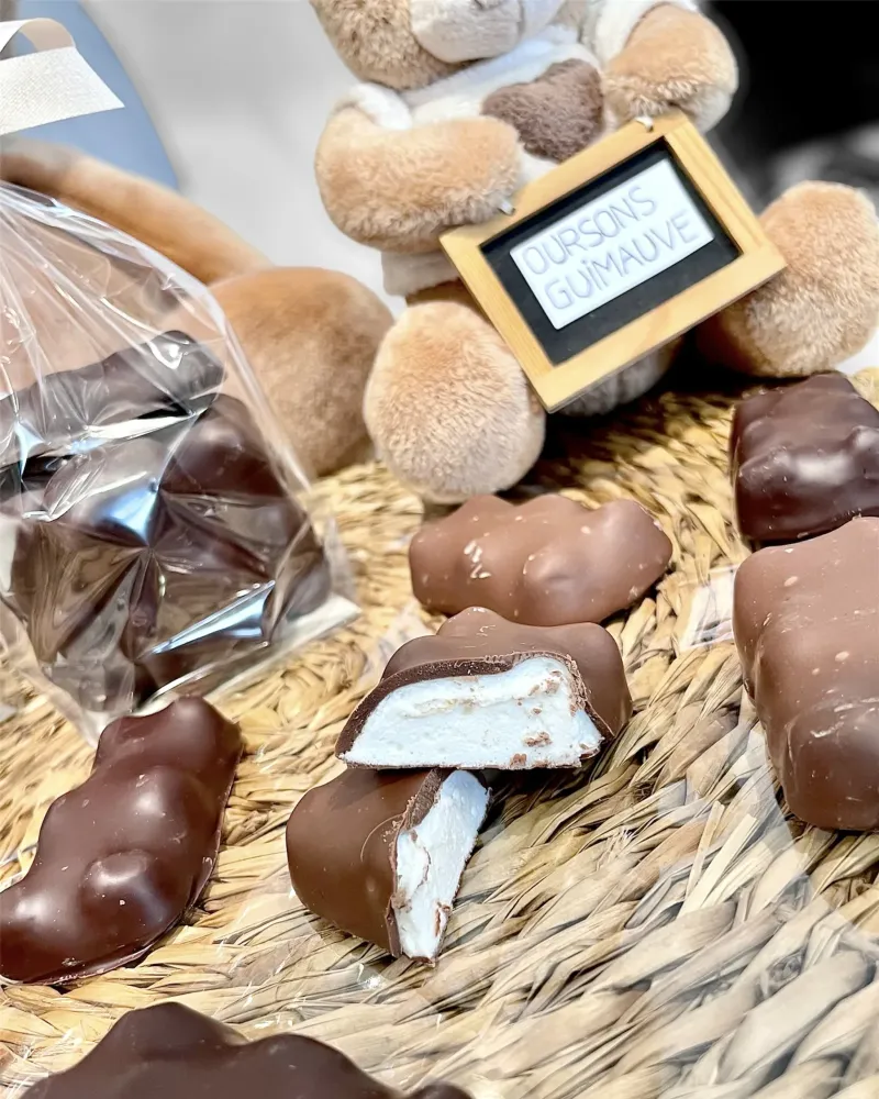 Sachet de 6 oursons guimauve (Chocolats Lait Chocolats Noir Moitié lait moitié noir)